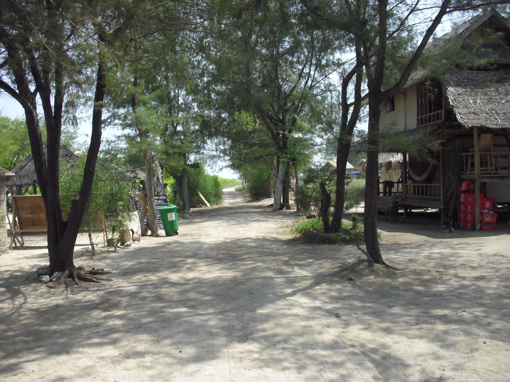 Image CIMG7392.JPG