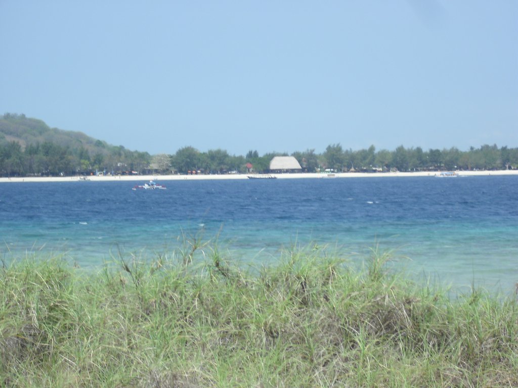 Image CIMG7393.JPG