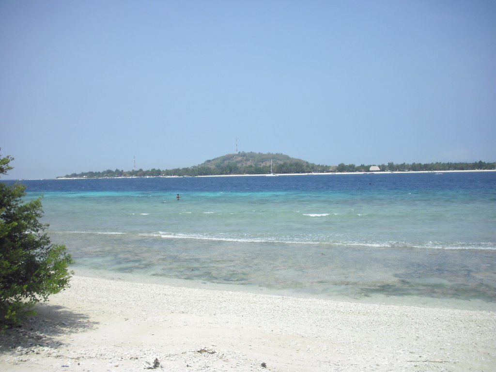 Image CIMG7394.JPG