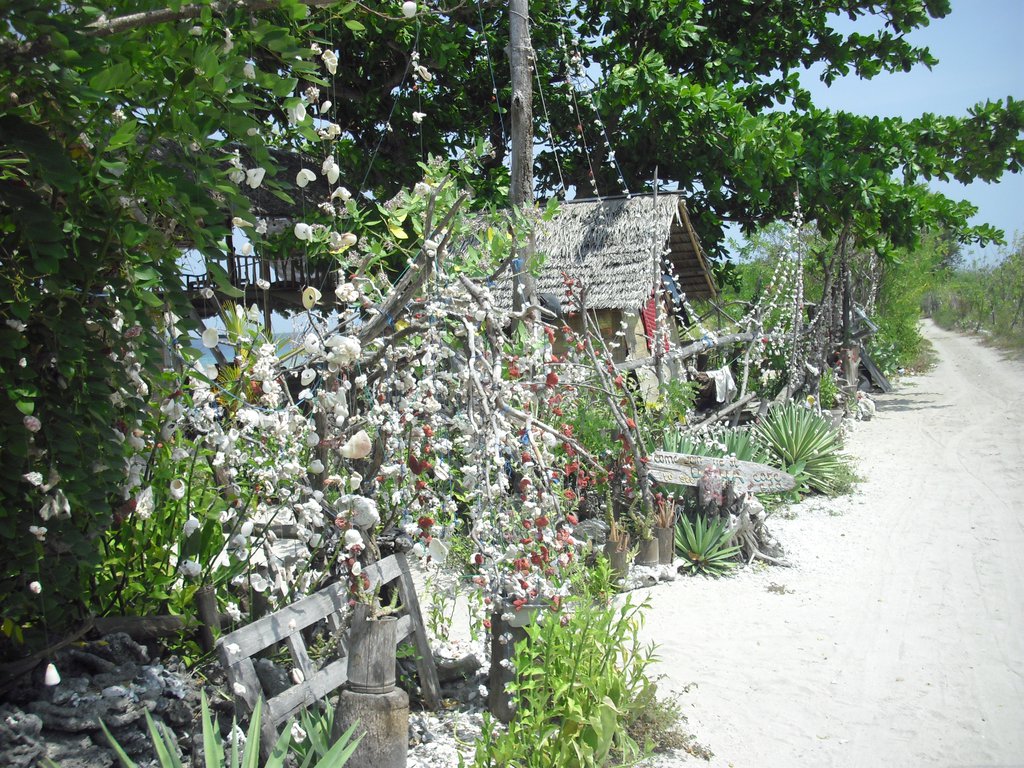 Image CIMG7395.JPG