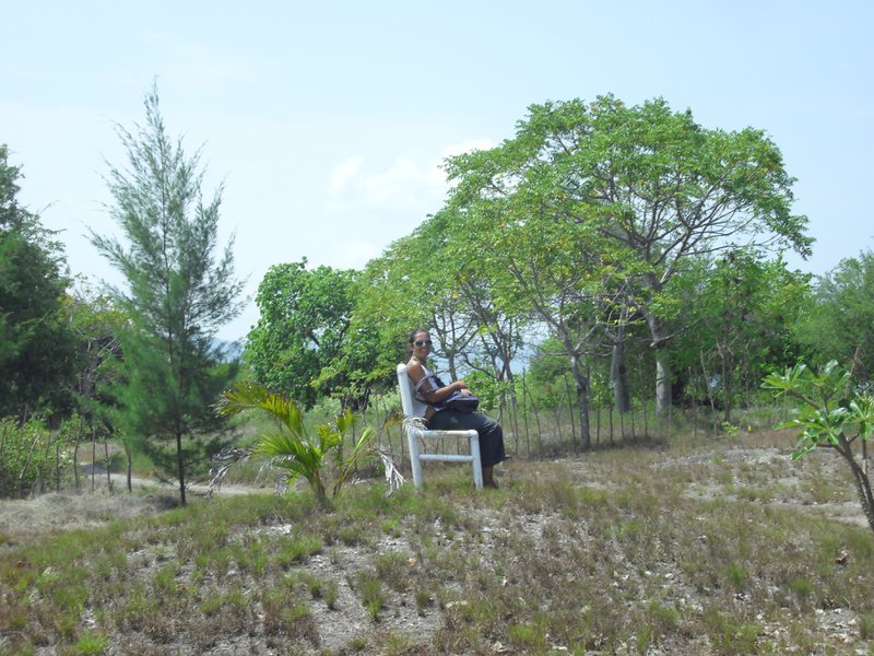 Image CIMG7396.JPG