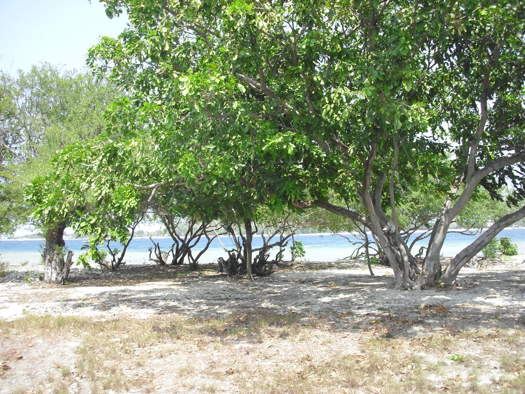 Image CIMG7397.JPG