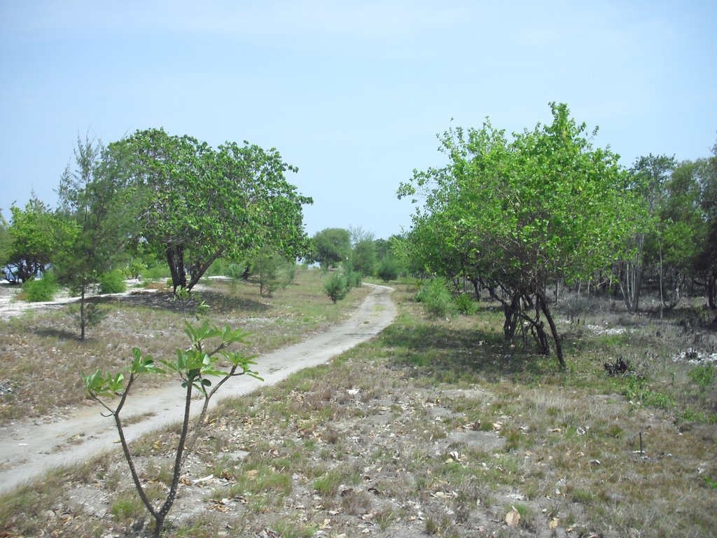 Image CIMG7398.JPG