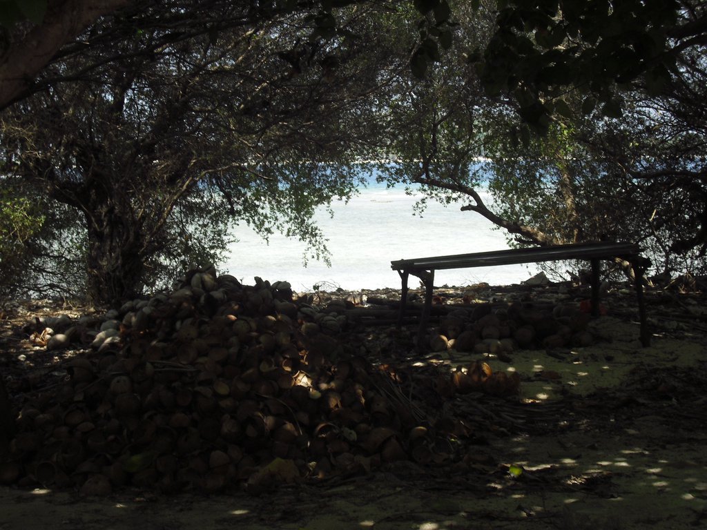 Image CIMG7399.JPG