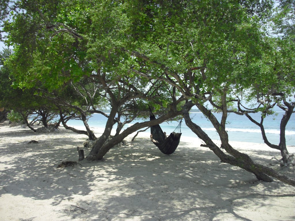 Image CIMG7404.JPG