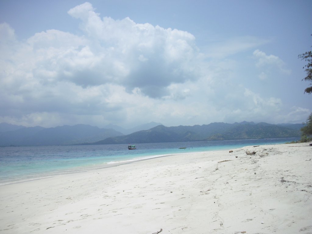 Image CIMG7409.JPG
