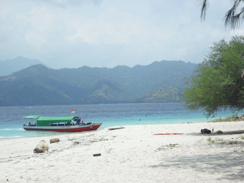 Image CIMG7412.JPG