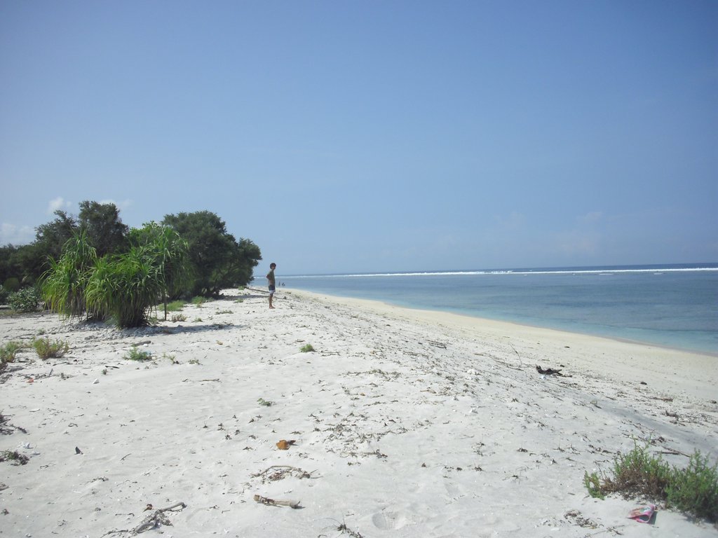 Image CIMG7422.JPG
