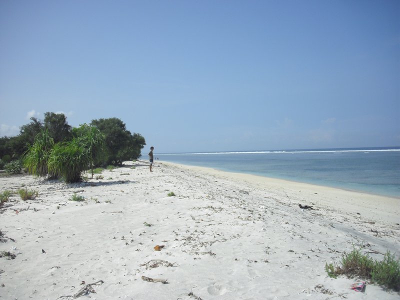 Image CIMG7422.JPG