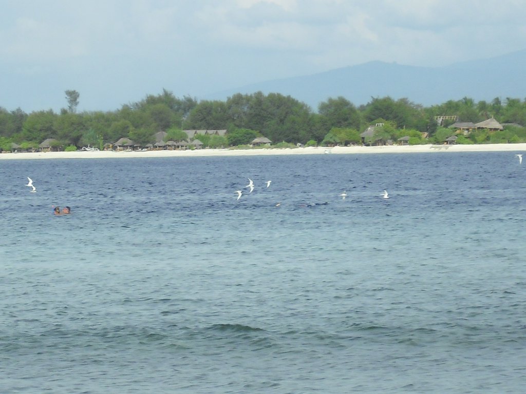 Image CIMG7430.JPG