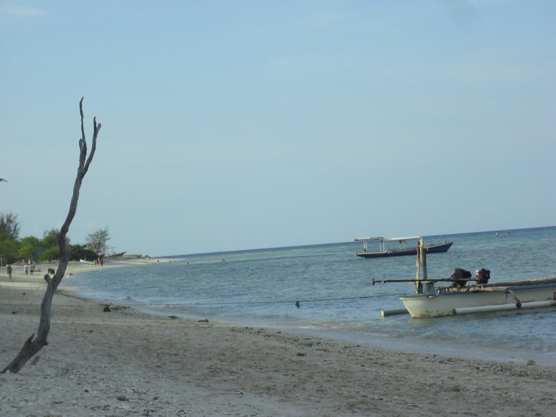 Image CIMG7431.JPG
