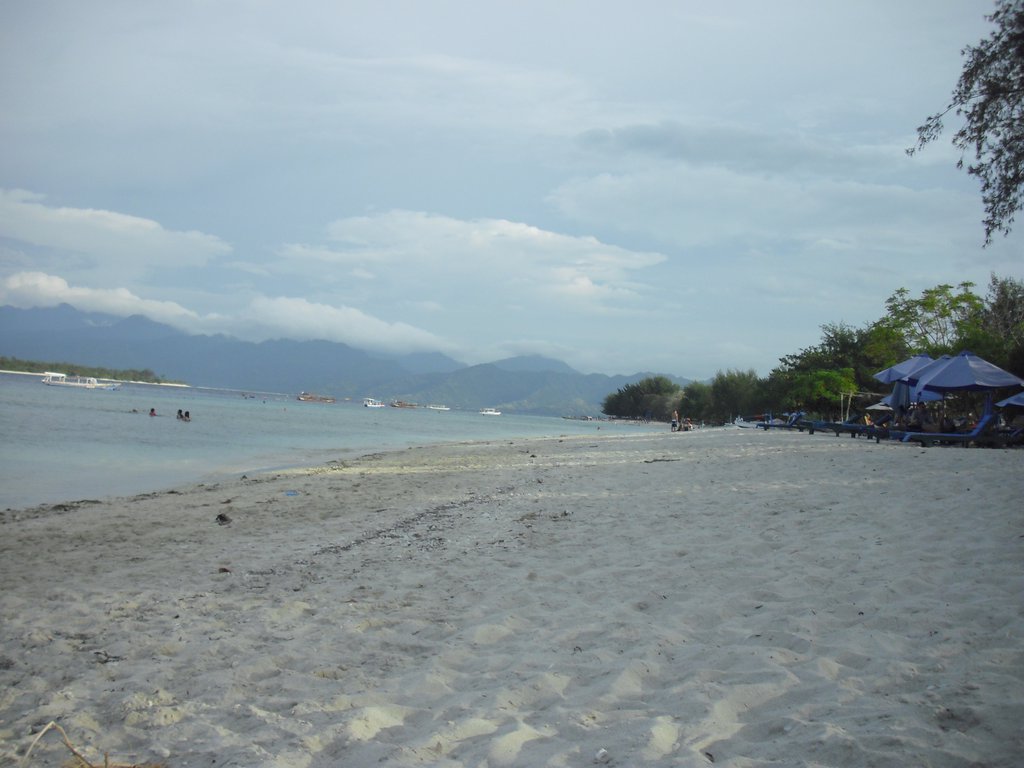 Image CIMG7433.JPG