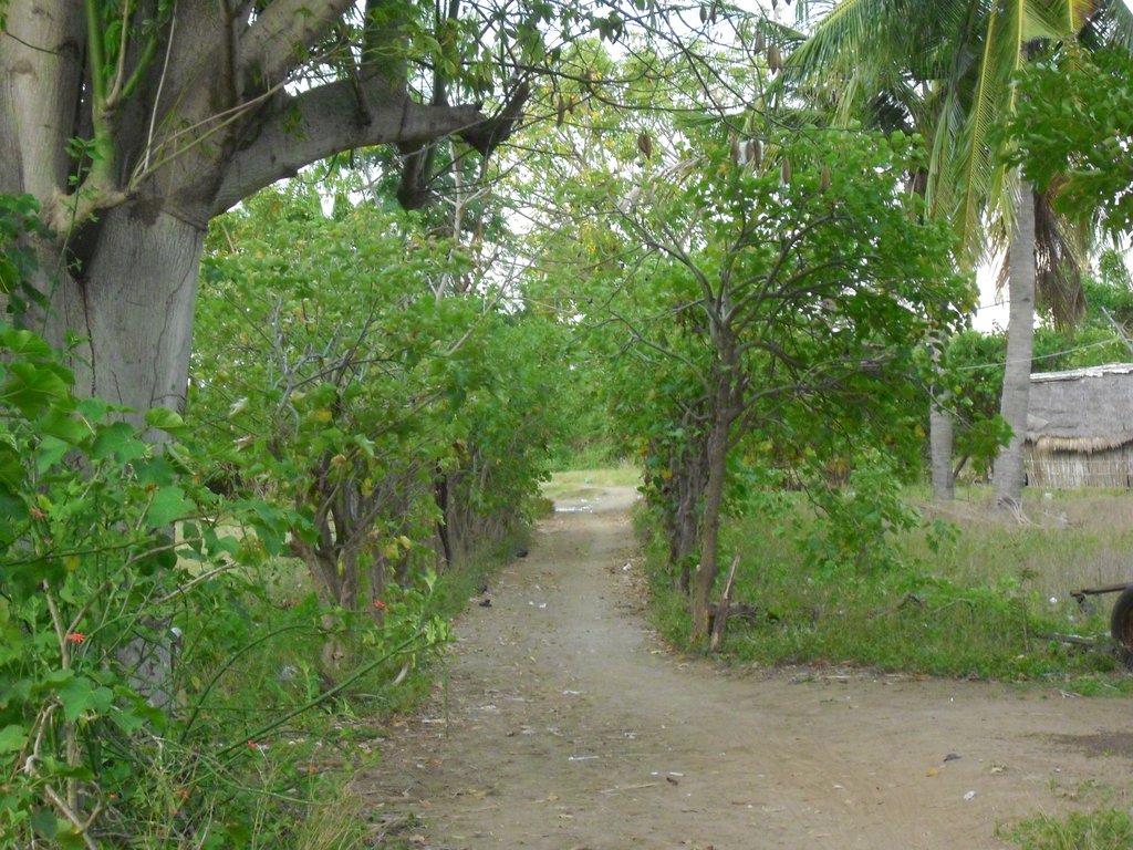 Image CIMG7436.JPG