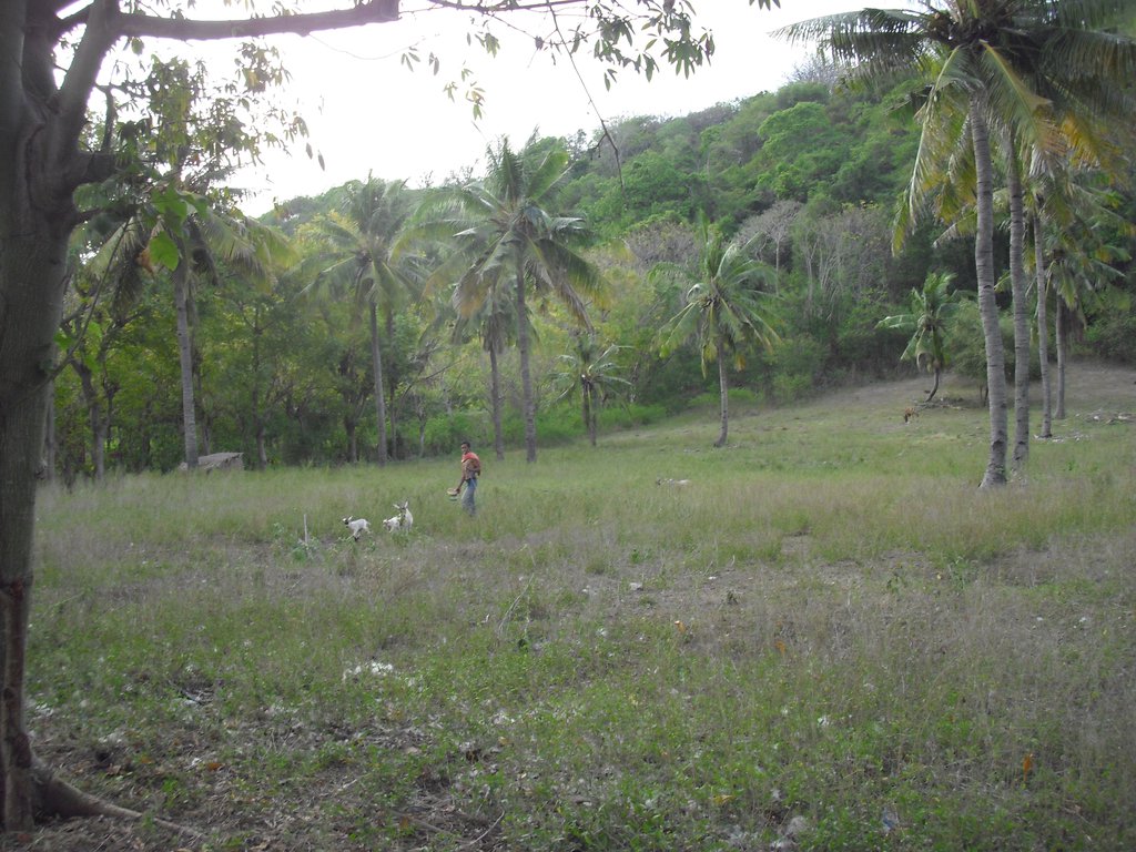 Image CIMG7439.JPG