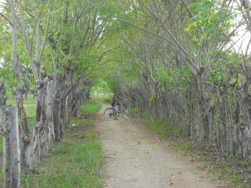 Image CIMG7440.JPG
