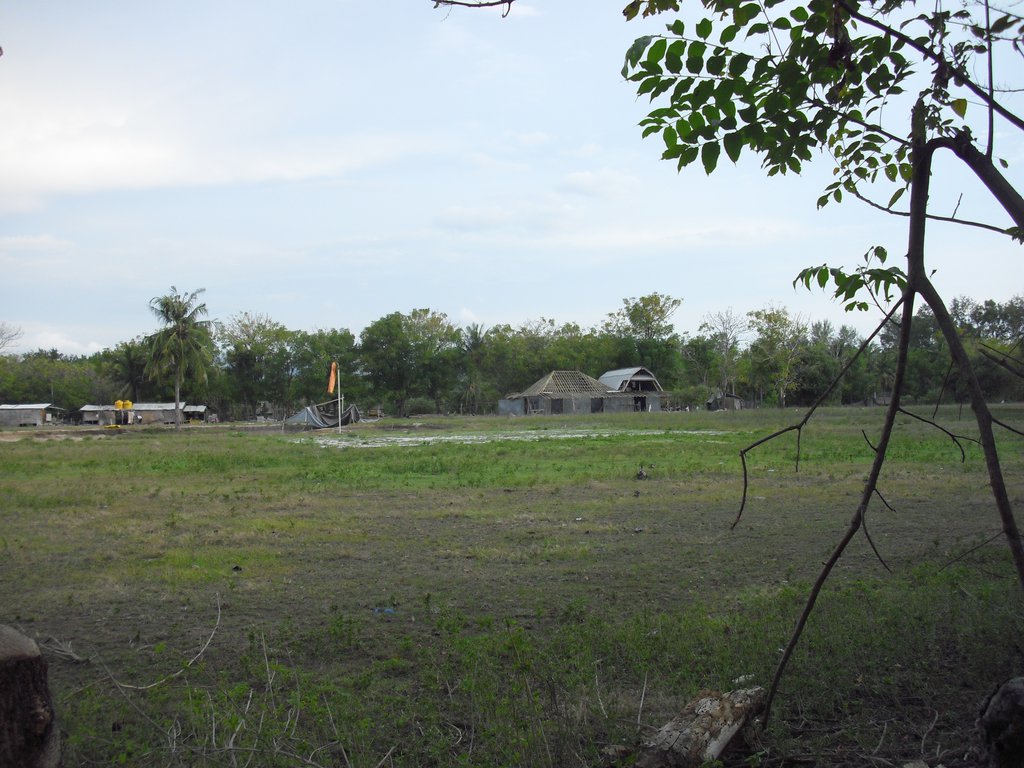 Image CIMG7443.JPG