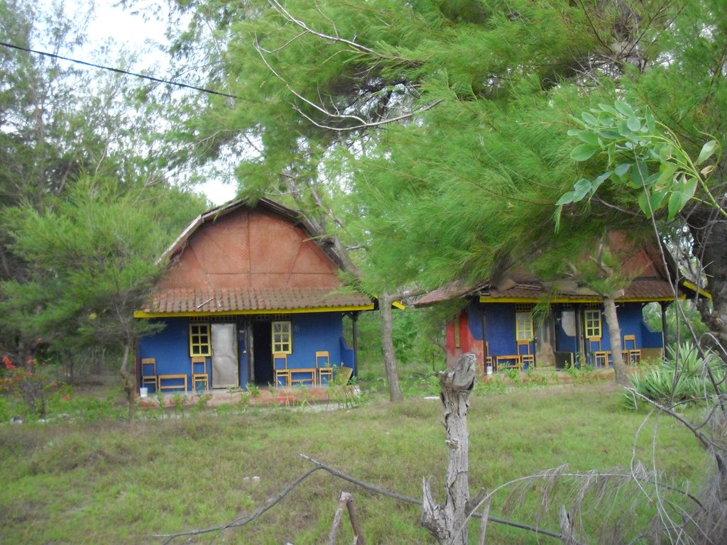 Image CIMG7445.JPG