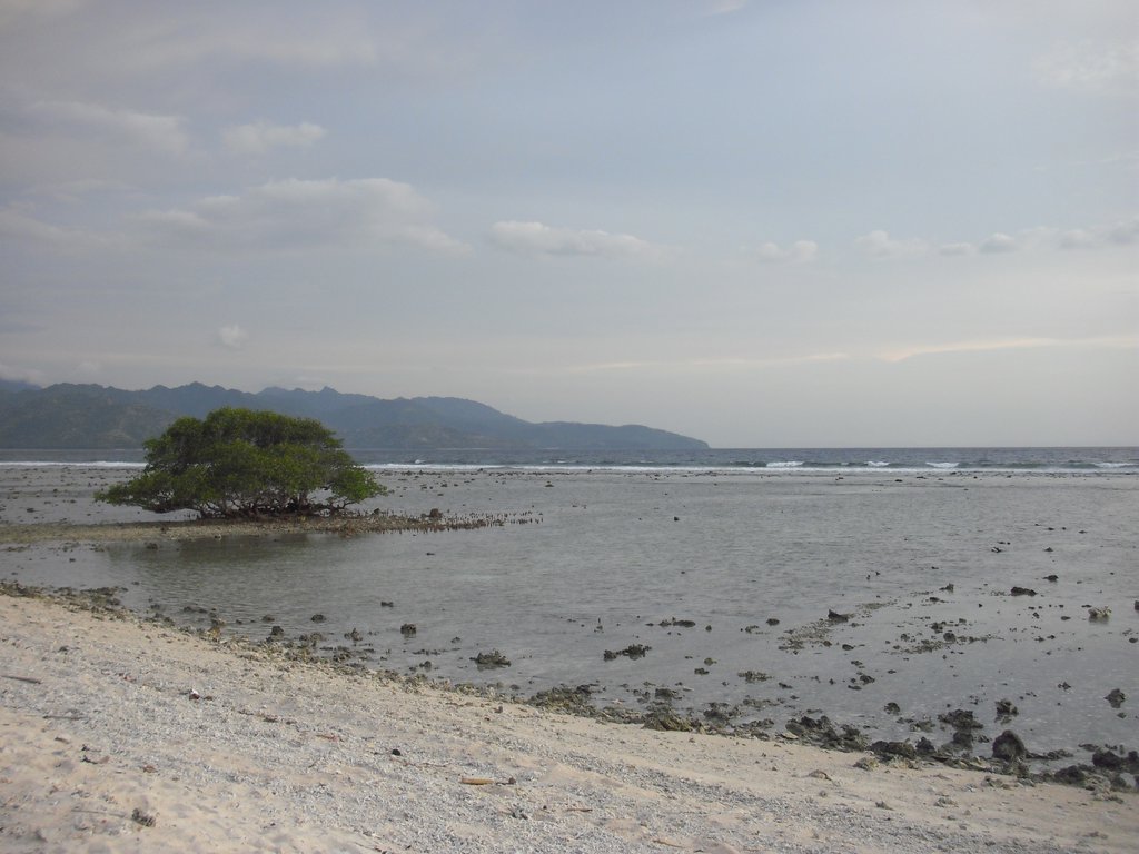 Image CIMG7446.JPG