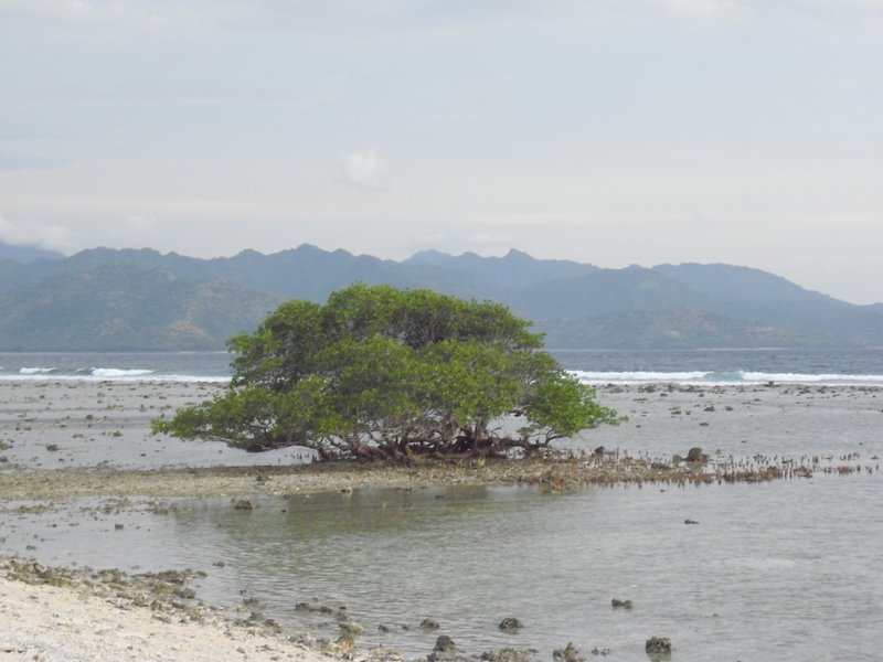 Image CIMG7447.JPG
