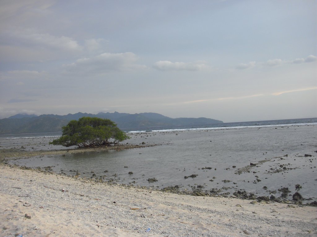 Image CIMG7448.JPG