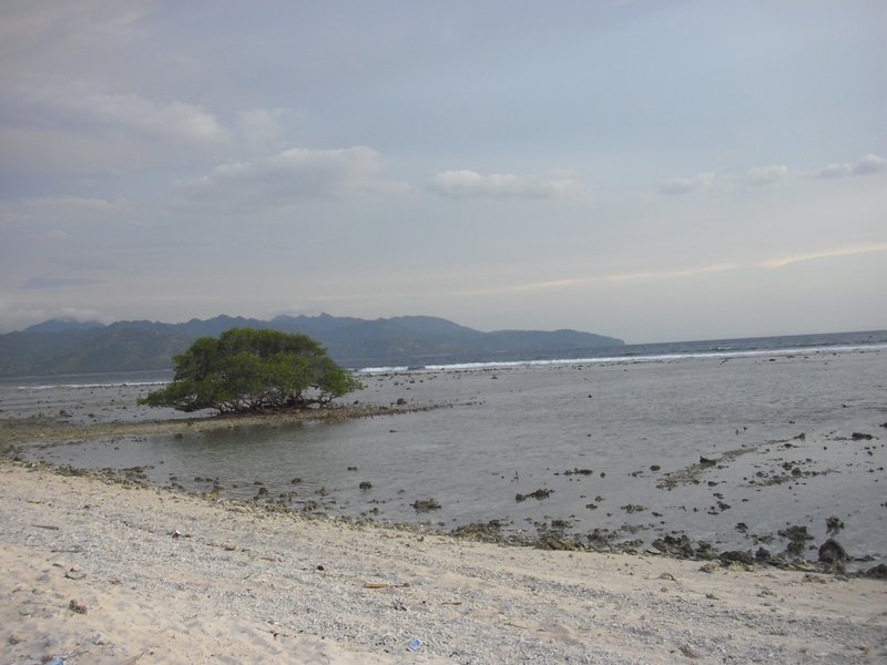 Image CIMG7448.JPG
