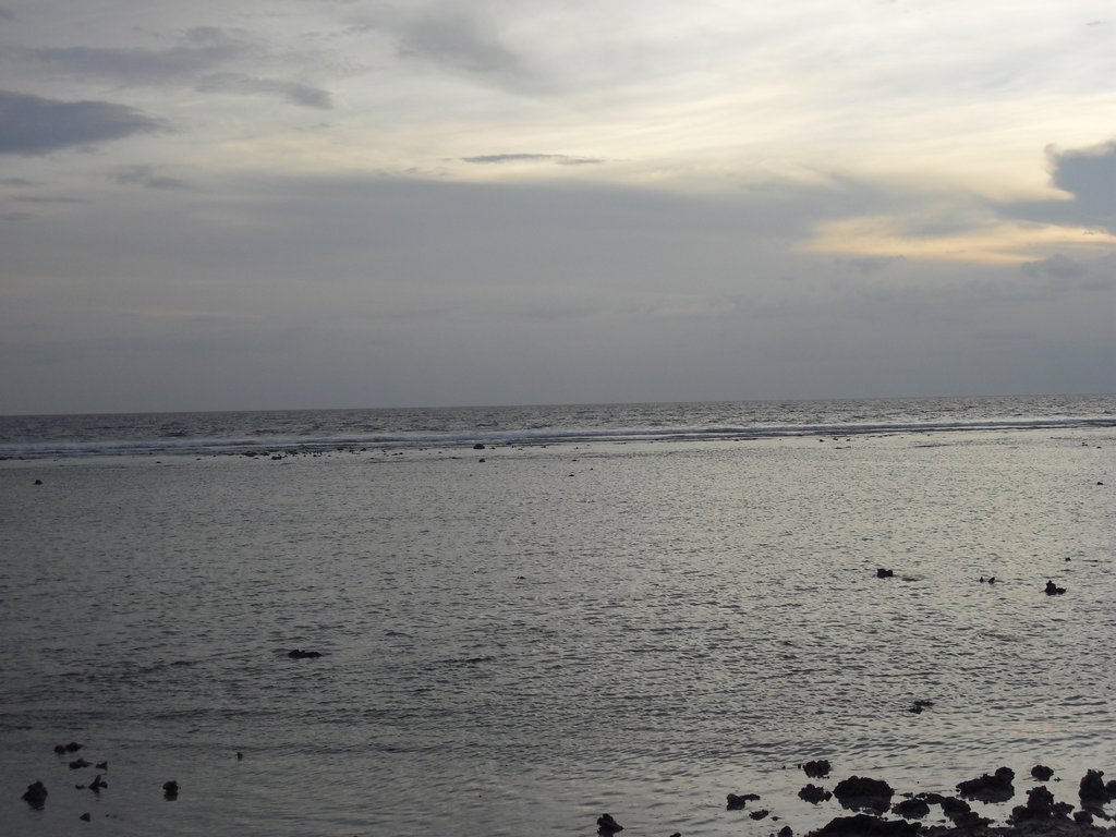 Image CIMG7453.JPG