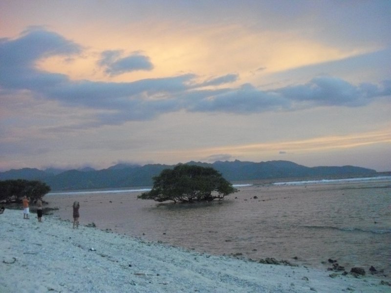 Image CIMG7457.JPG