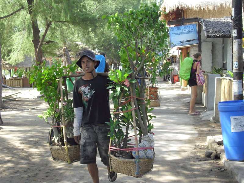 Image CIMG7470.JPG