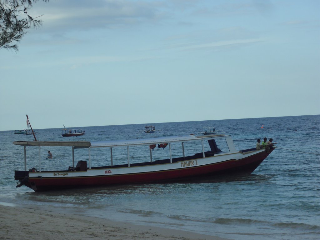 Image CIMG7490.JPG