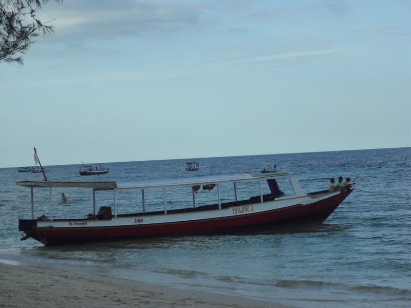 Image CIMG7490.JPG