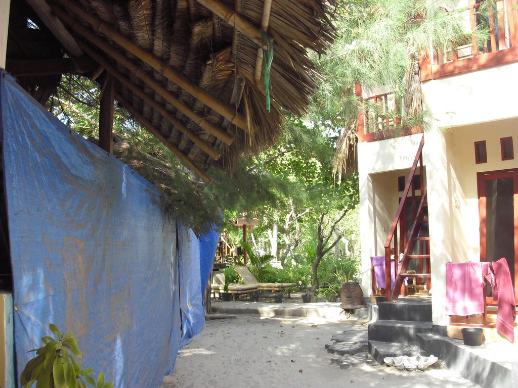 Image CIMG7500.JPG