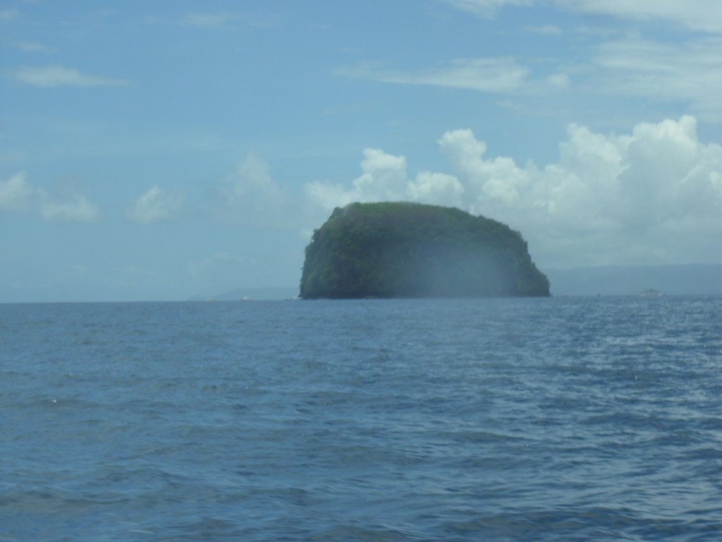 Image CIMG7514.JPG