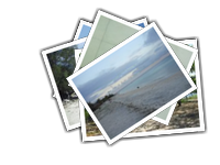 Gili album picture