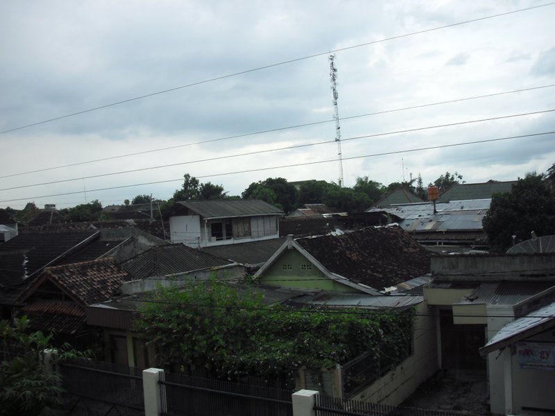 Image CIMG5429.JPG