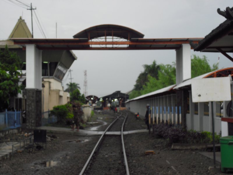 Image CIMG5449.JPG