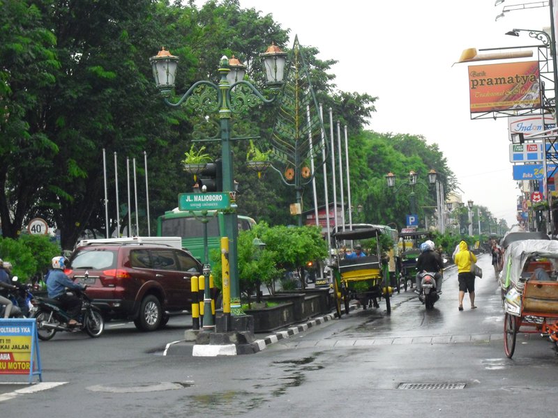 Image CIMG5455.JPG