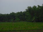 CIMG5864 thumb