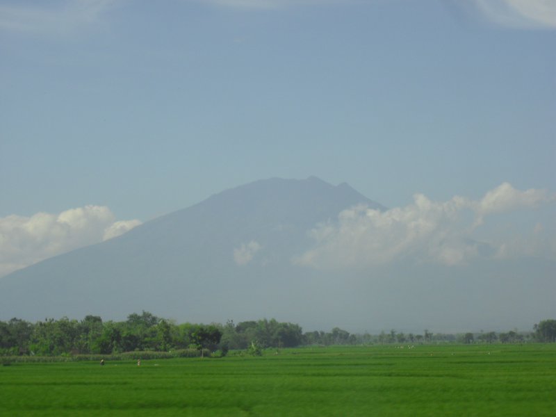 Image CIMG5889.JPG