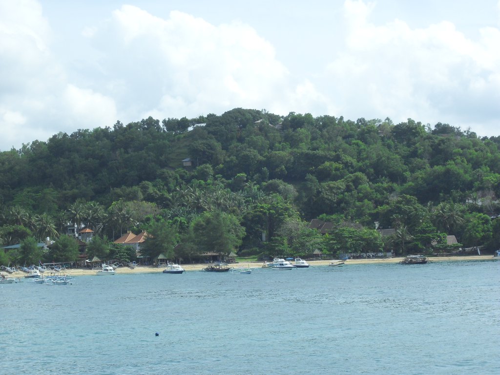 Image CIMG6902.JPG