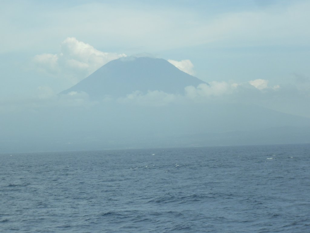 Image CIMG6917.JPG