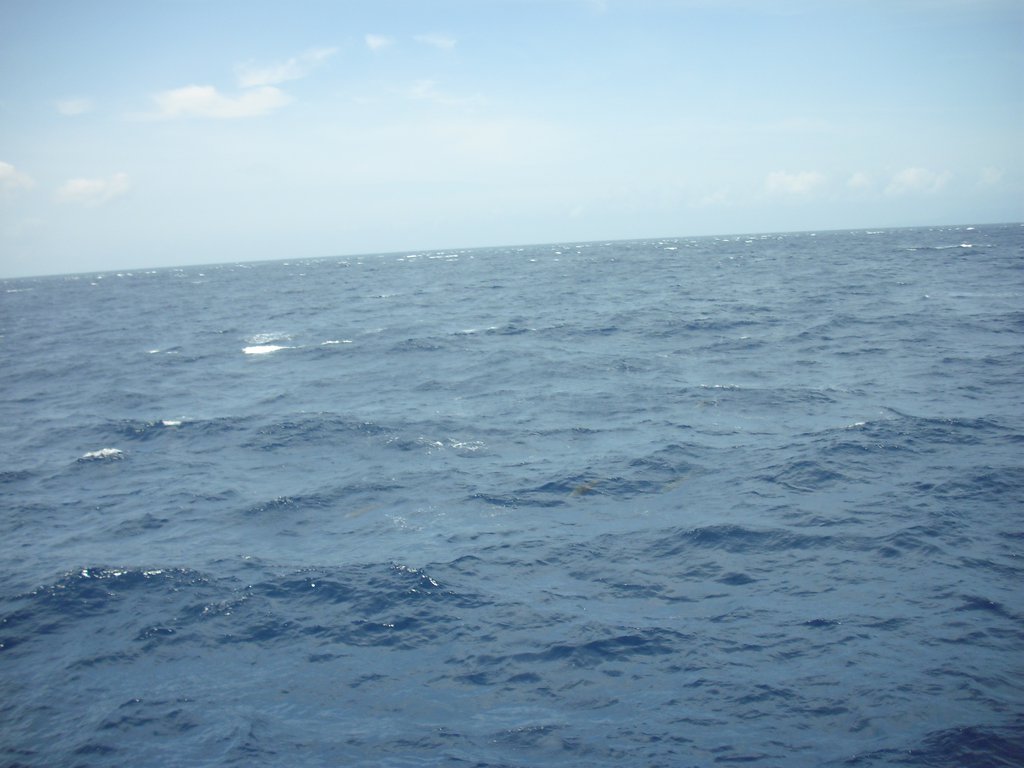 Image CIMG6918.JPG