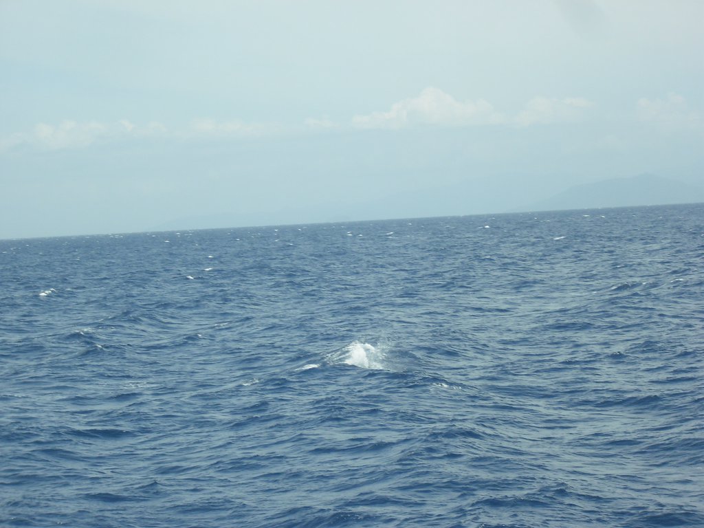 Image CIMG6923.JPG