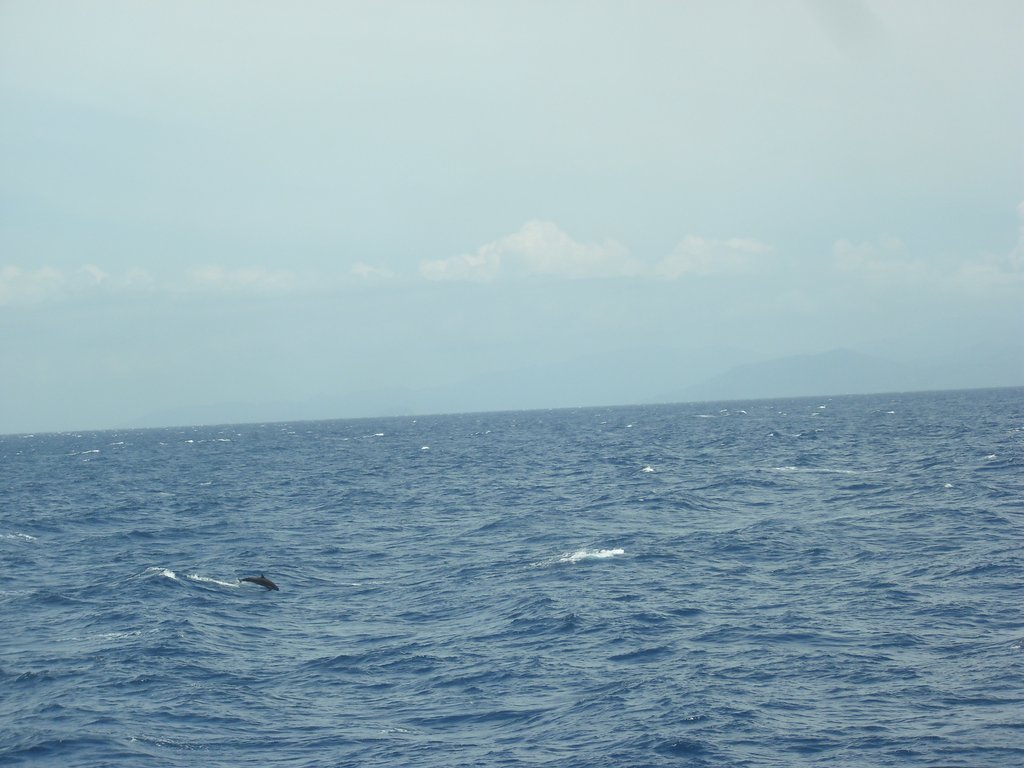 Image CIMG6925.JPG