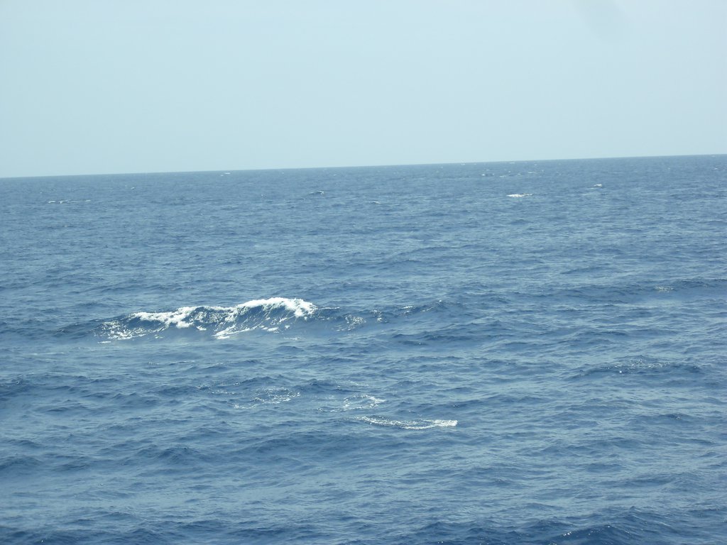 Image CIMG6926.JPG