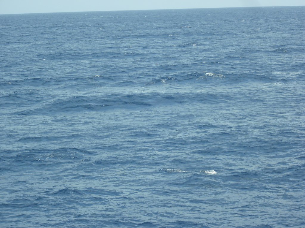 Image CIMG6927.JPG