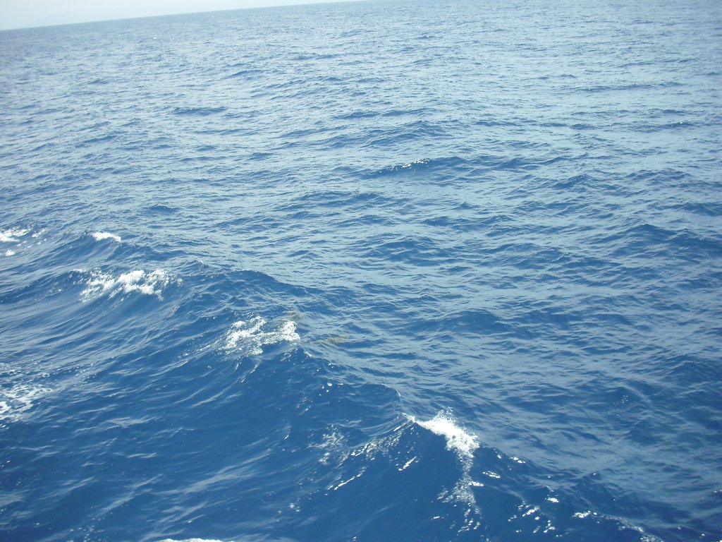 Image CIMG6928.JPG