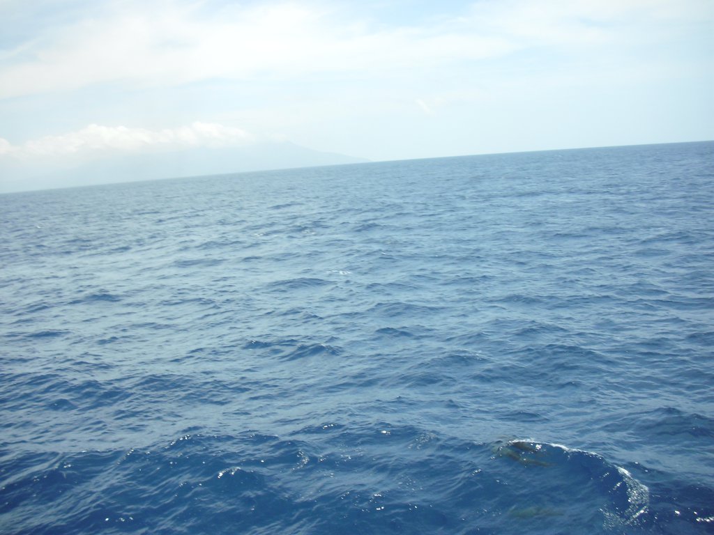 Image CIMG6929.JPG