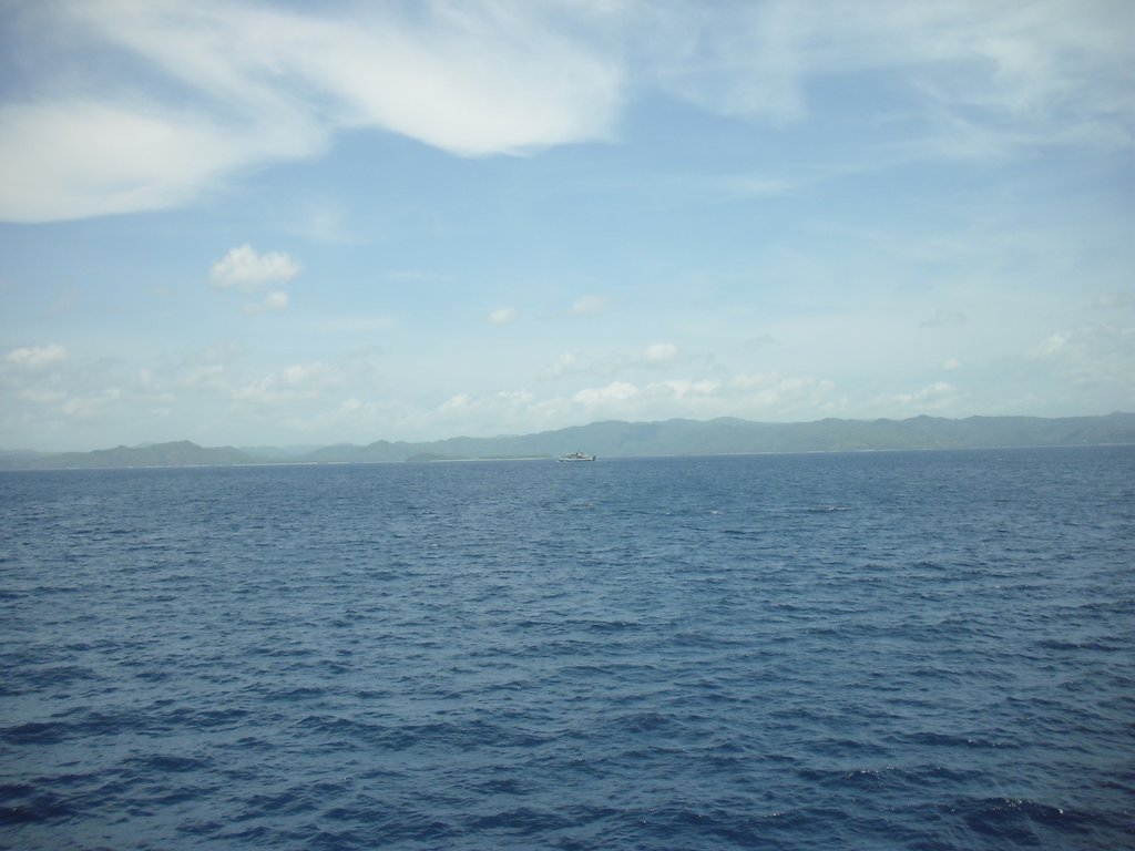 Image CIMG6931.JPG