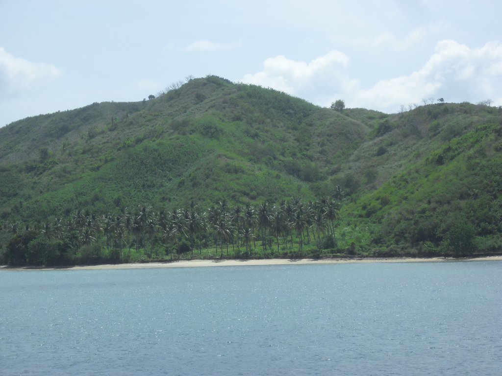 Image CIMG6938.JPG