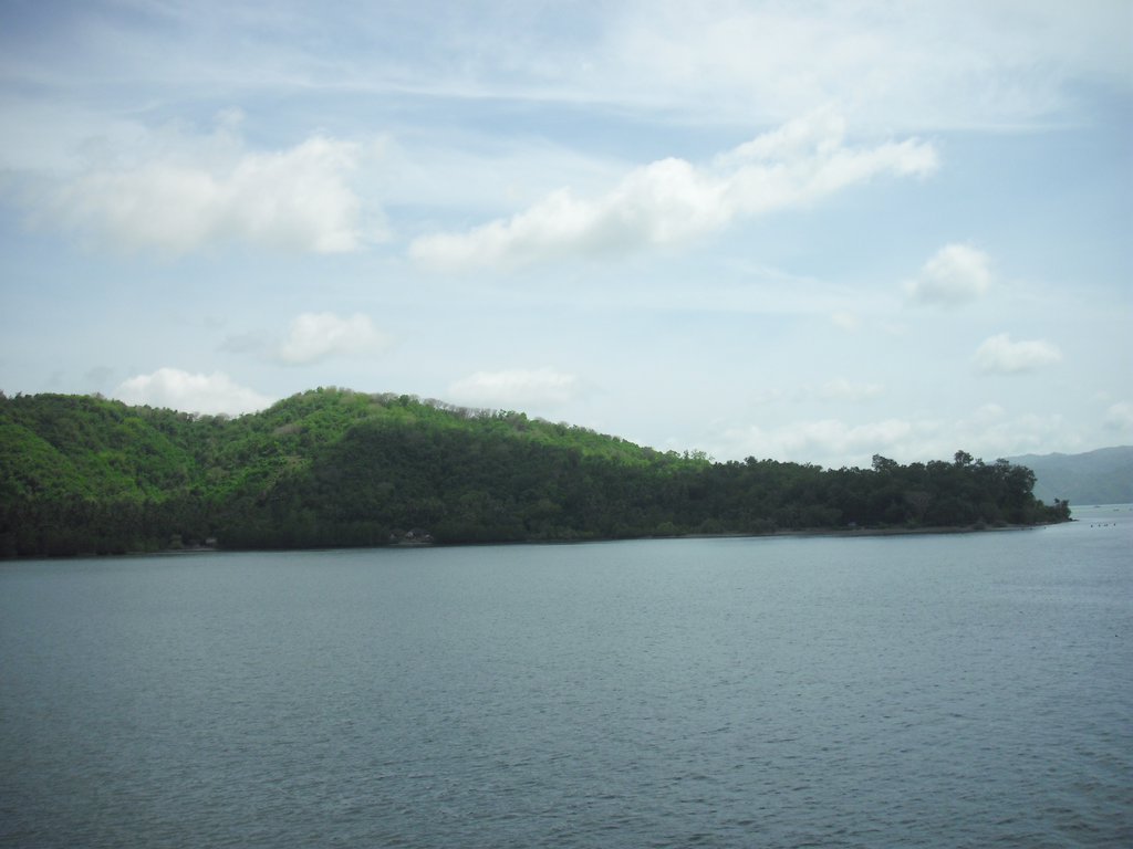 Image CIMG6949.JPG
